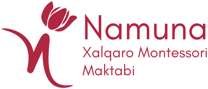 Namuna Xalqaro Montessori Maktabi